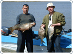 На что ловить рыбу на Волге: Снасти и приманки для рыбалки на Волге